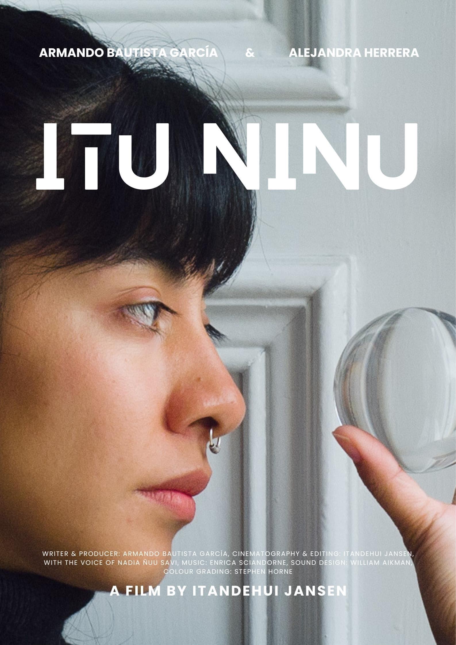 Itu Ninu poster