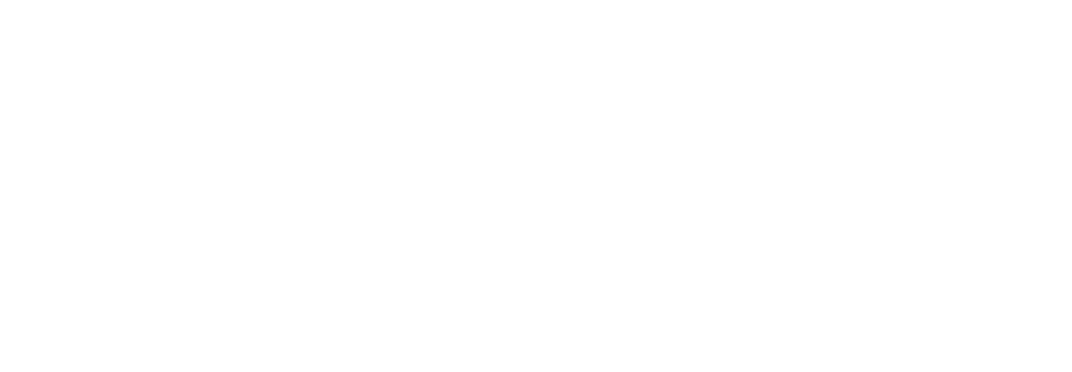 A Honeymoon to Remember logo