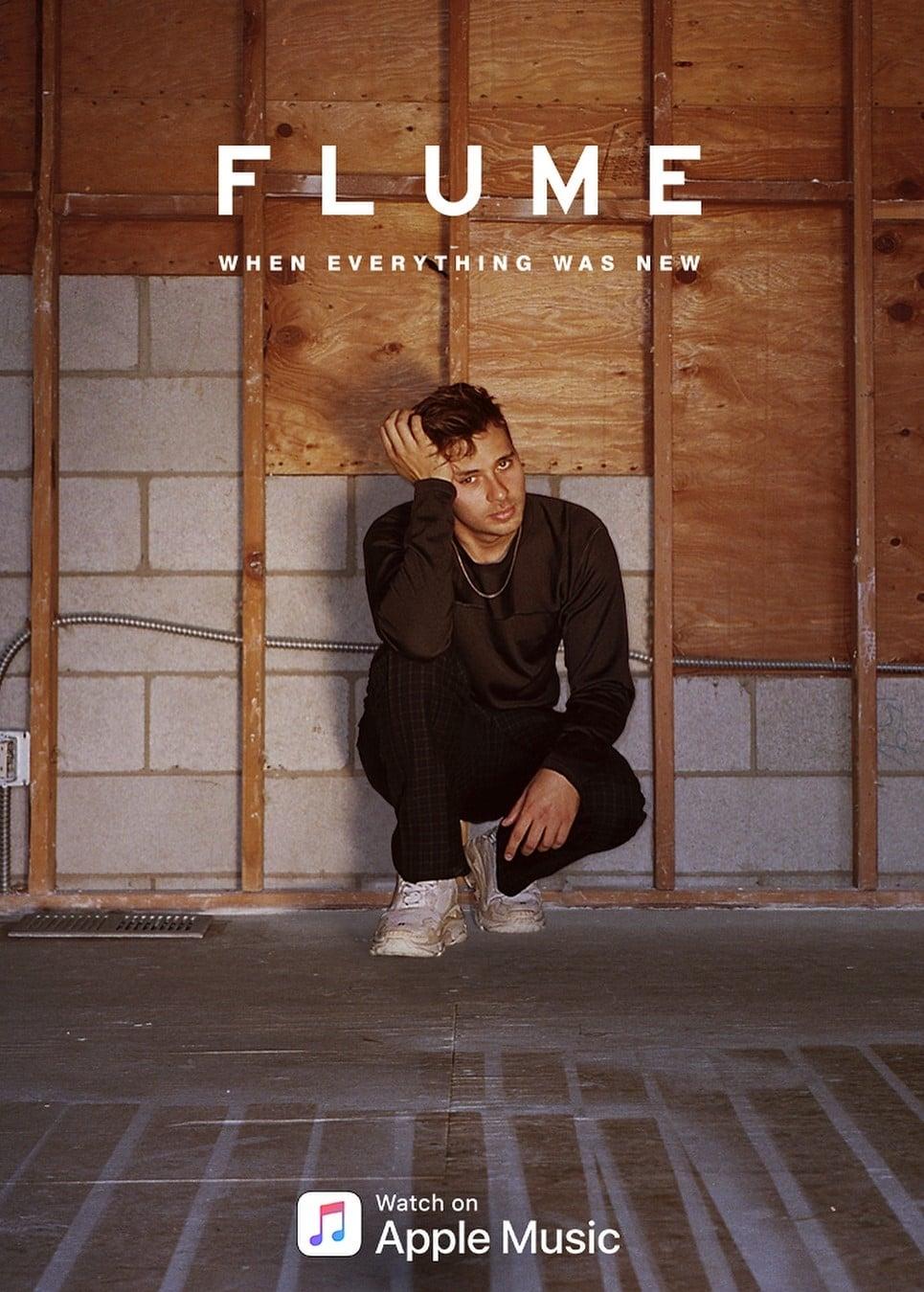 Flume: When Everything Was New poster