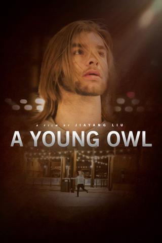 A Young Owl poster