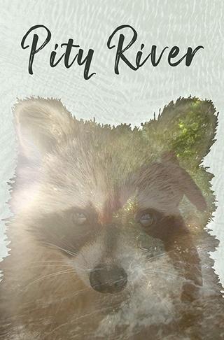 Pity River poster