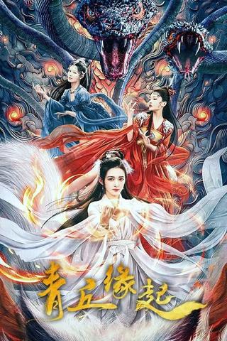 The Story of Qing Qiu poster