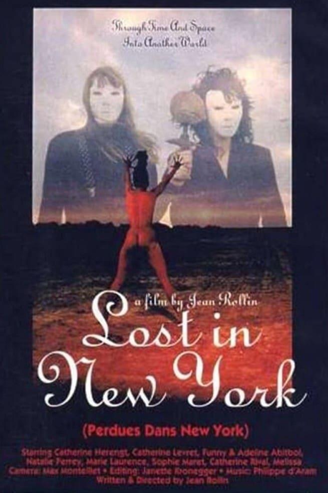 Lost in New York poster