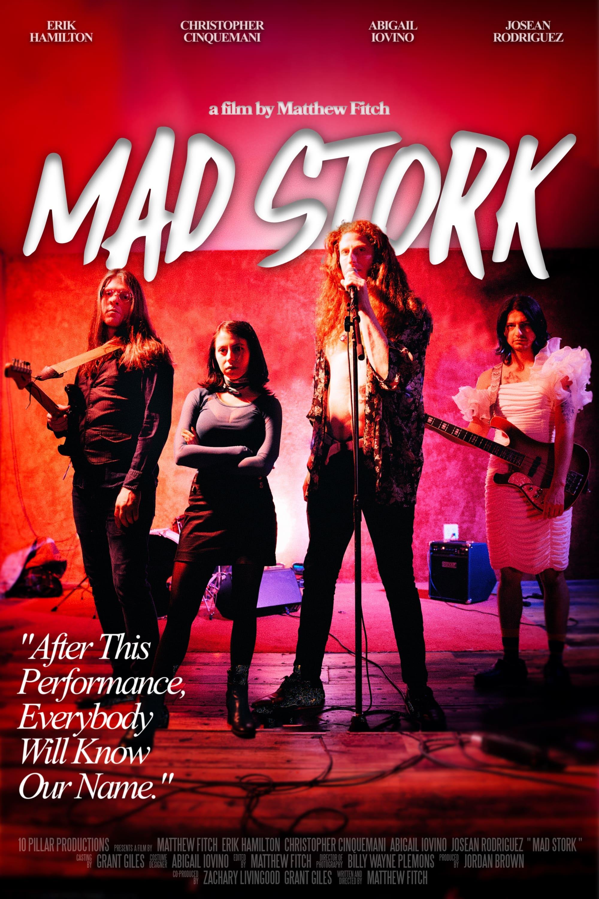 Mad Stork poster