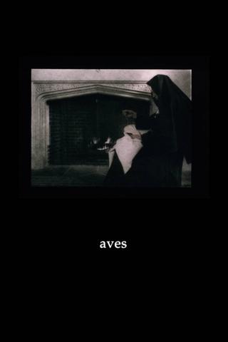 Aves poster