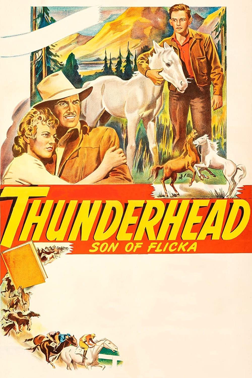 Thunderhead - Son of Flicka poster