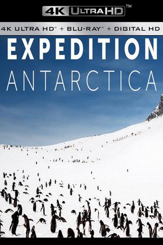 Expedition Antarctica poster