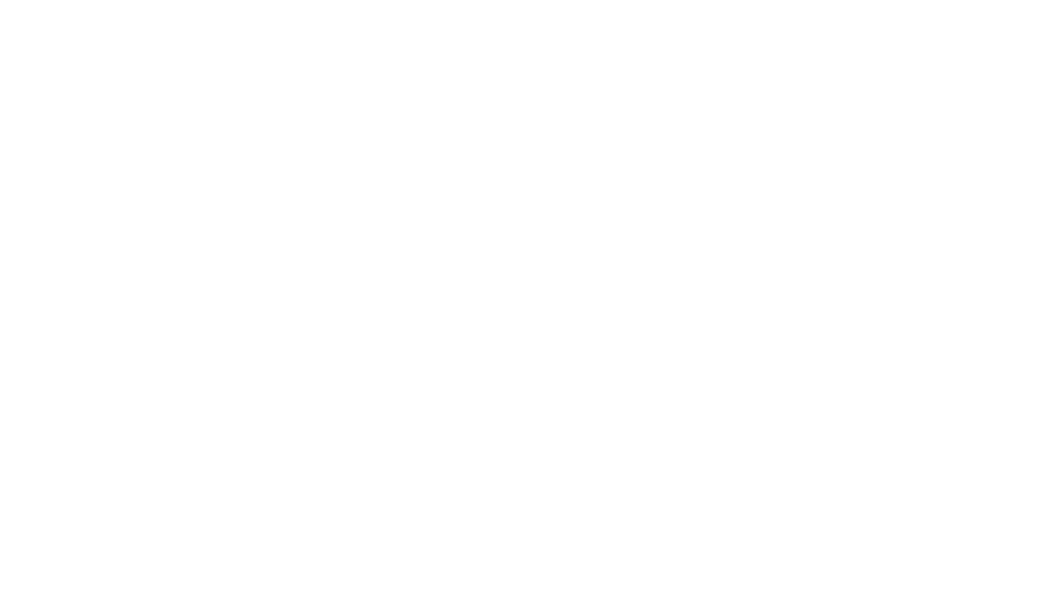 The Visit logo