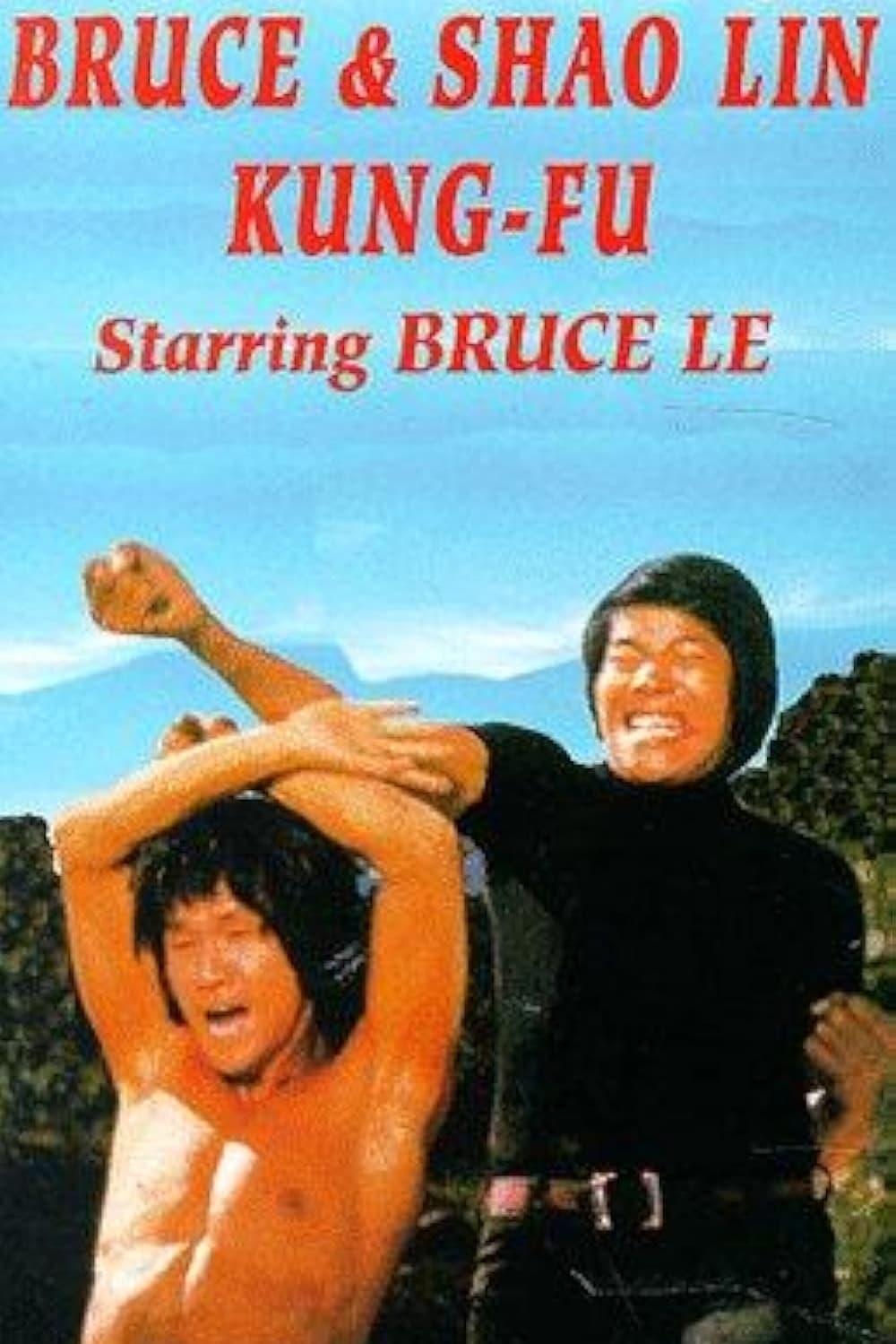 Bruce and Shaolin Kung Fu poster