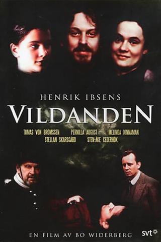 Vildanden poster