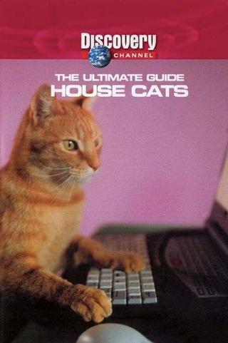 The Ultimate Guide: House Cats poster