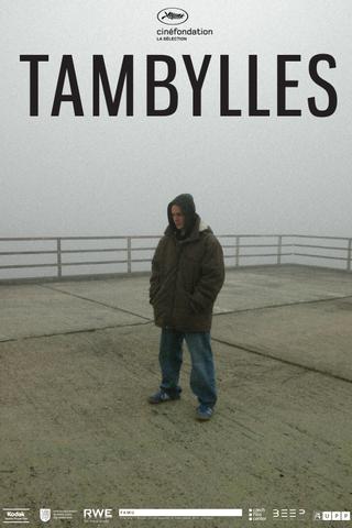 Tambylles poster