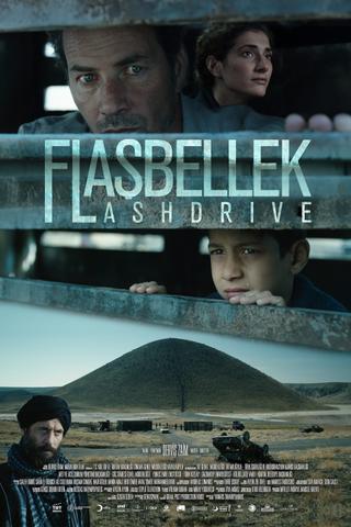 Flashdrive poster