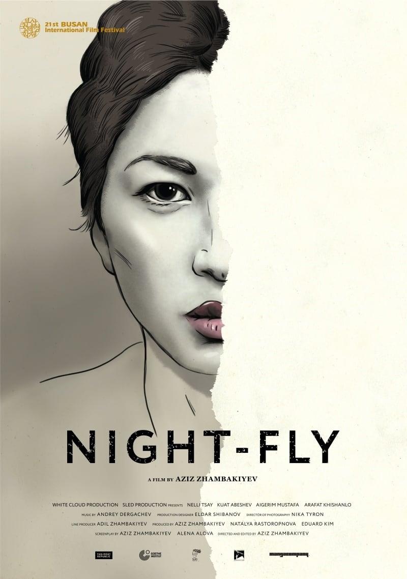 Night-Fly poster