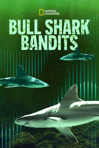 Bull Shark Bandits poster