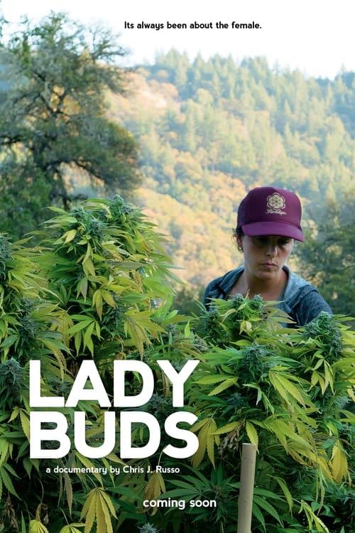 Lady Buds poster