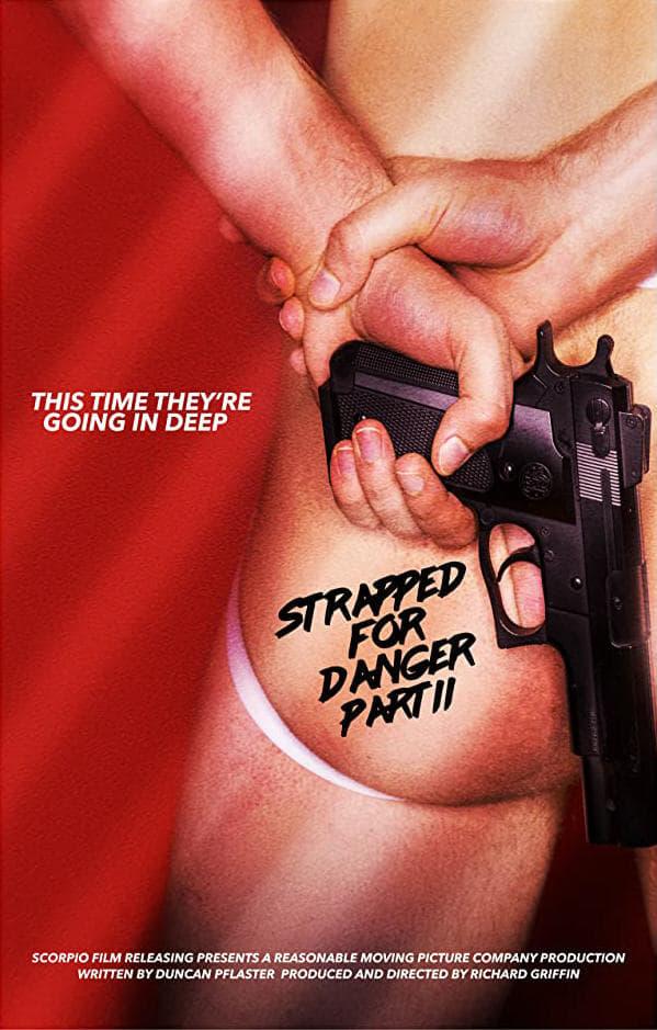 Strapped for Danger II: Undercover Vice poster