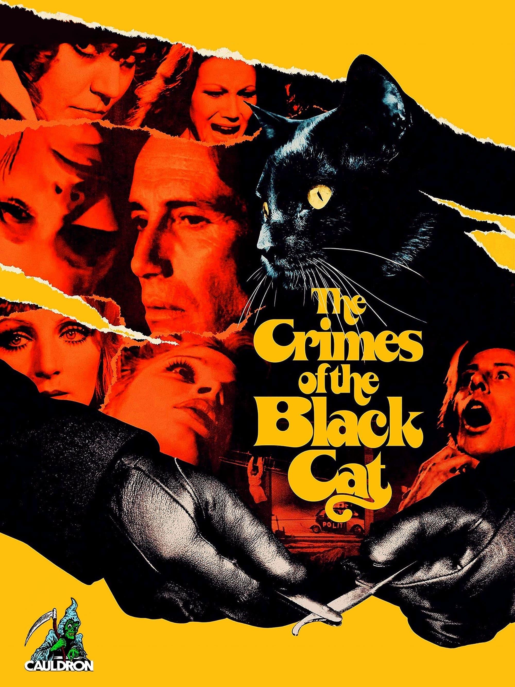 The Crimes of the Black Cat poster