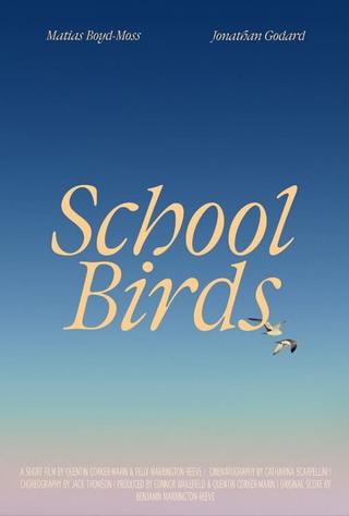 School Birds poster