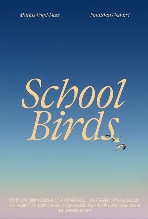 School Birds poster