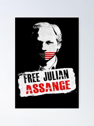 Julian Assange: Chronik einer Spionageaffäre poster