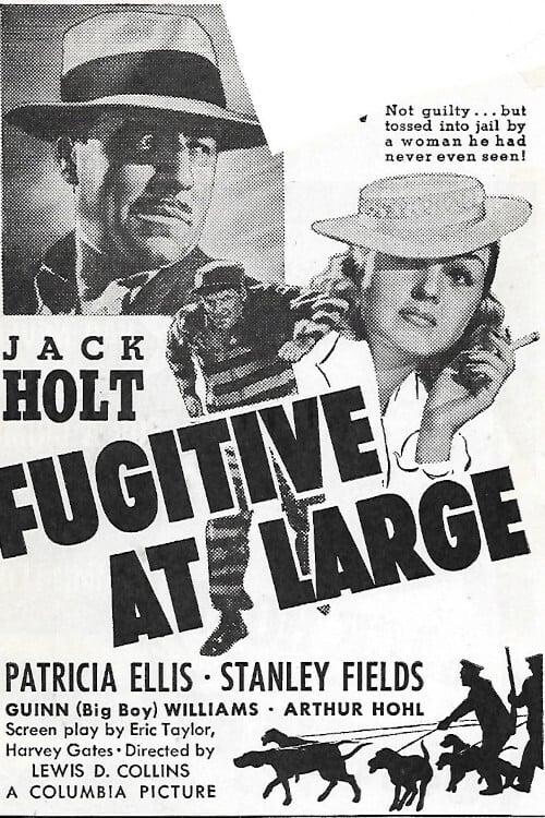 Fugitive at Large poster