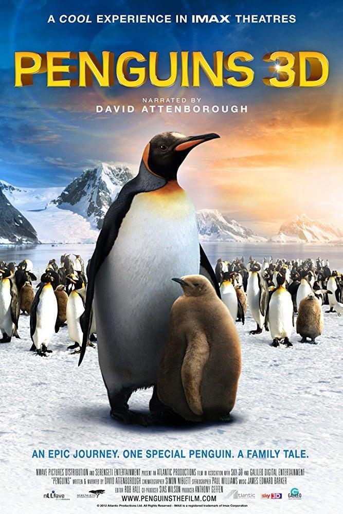 The Penguin King poster