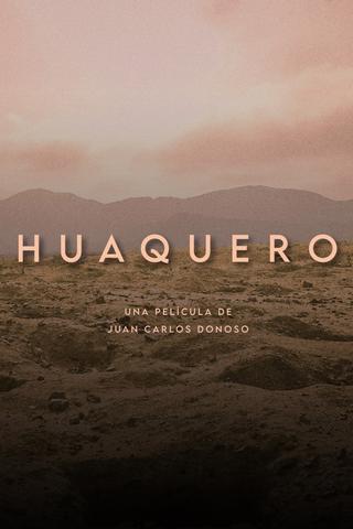 Huaquero poster