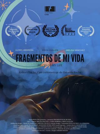 Fragmentos de mi Vida poster