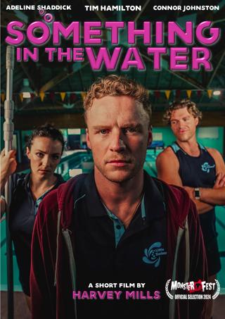 Something In The Water poster