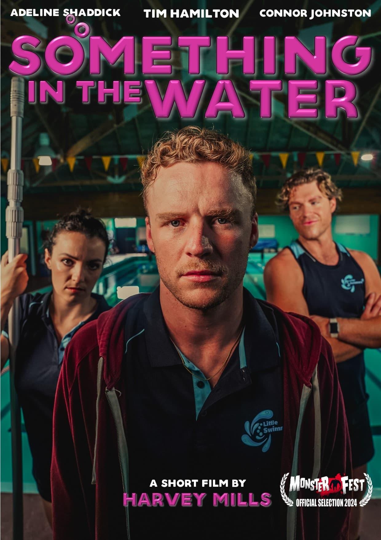 Something In The Water poster