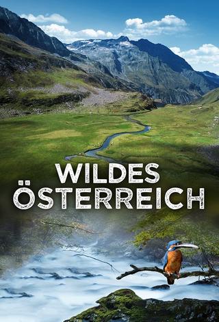 Wild Austria poster