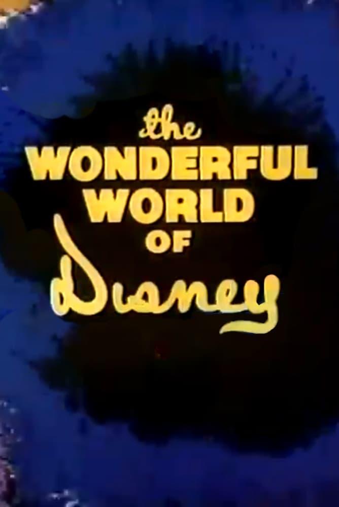 The Wonderful World of Disney poster
