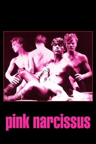 Pink Narcissus poster