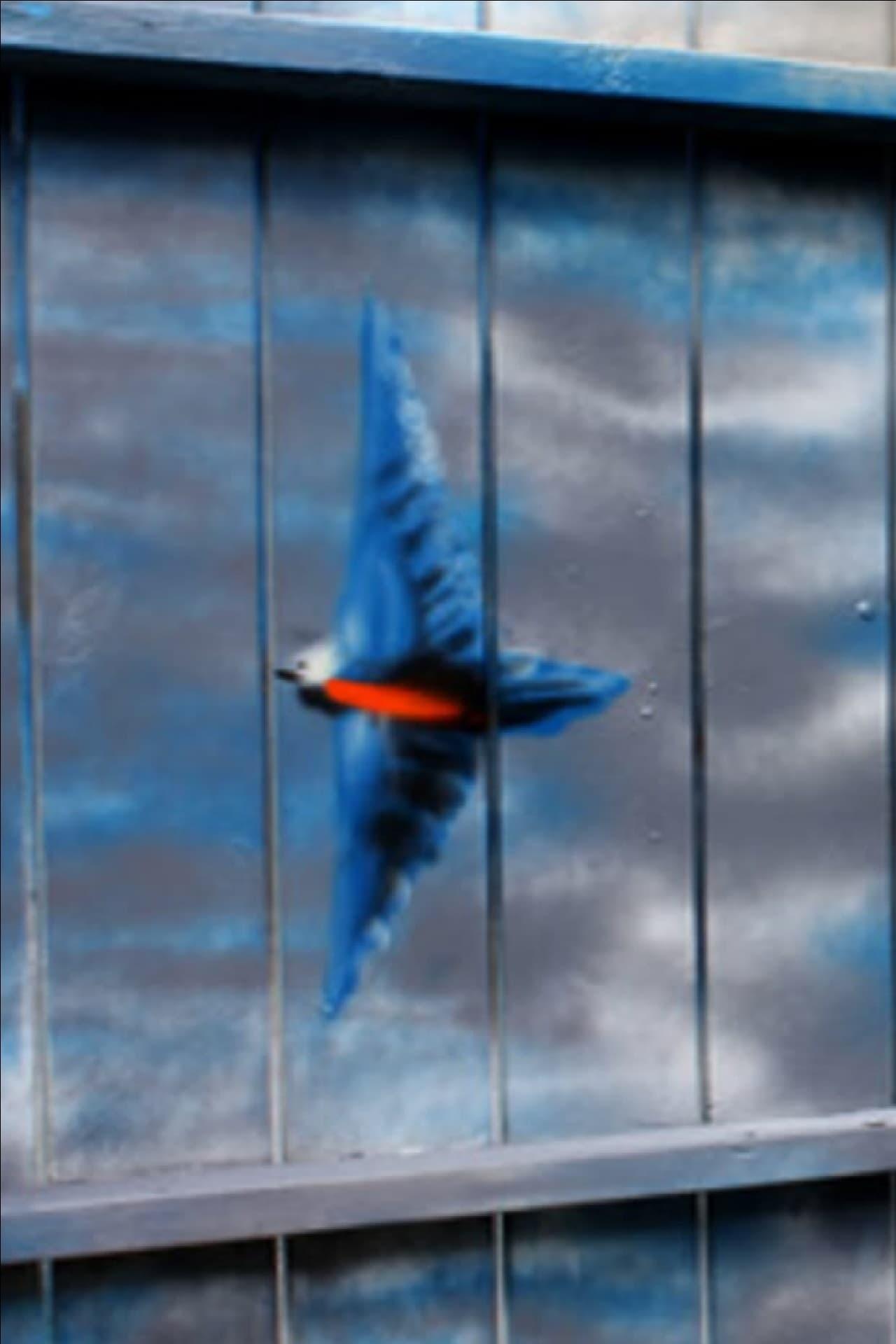 Spirit of the Bluebird poster