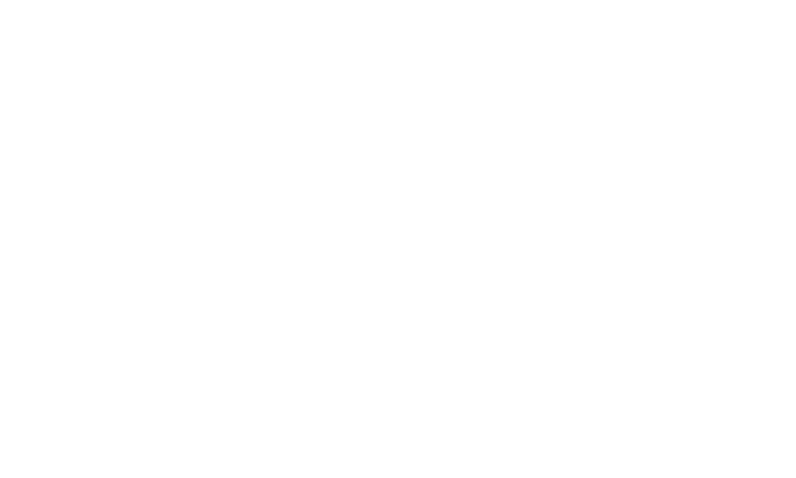 Nighthawks logo