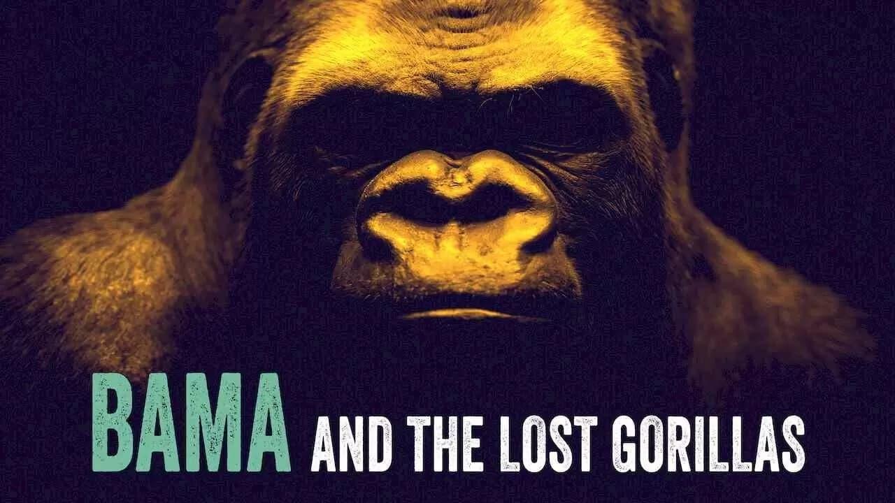 Bama and the Lost Gorillas backdrop