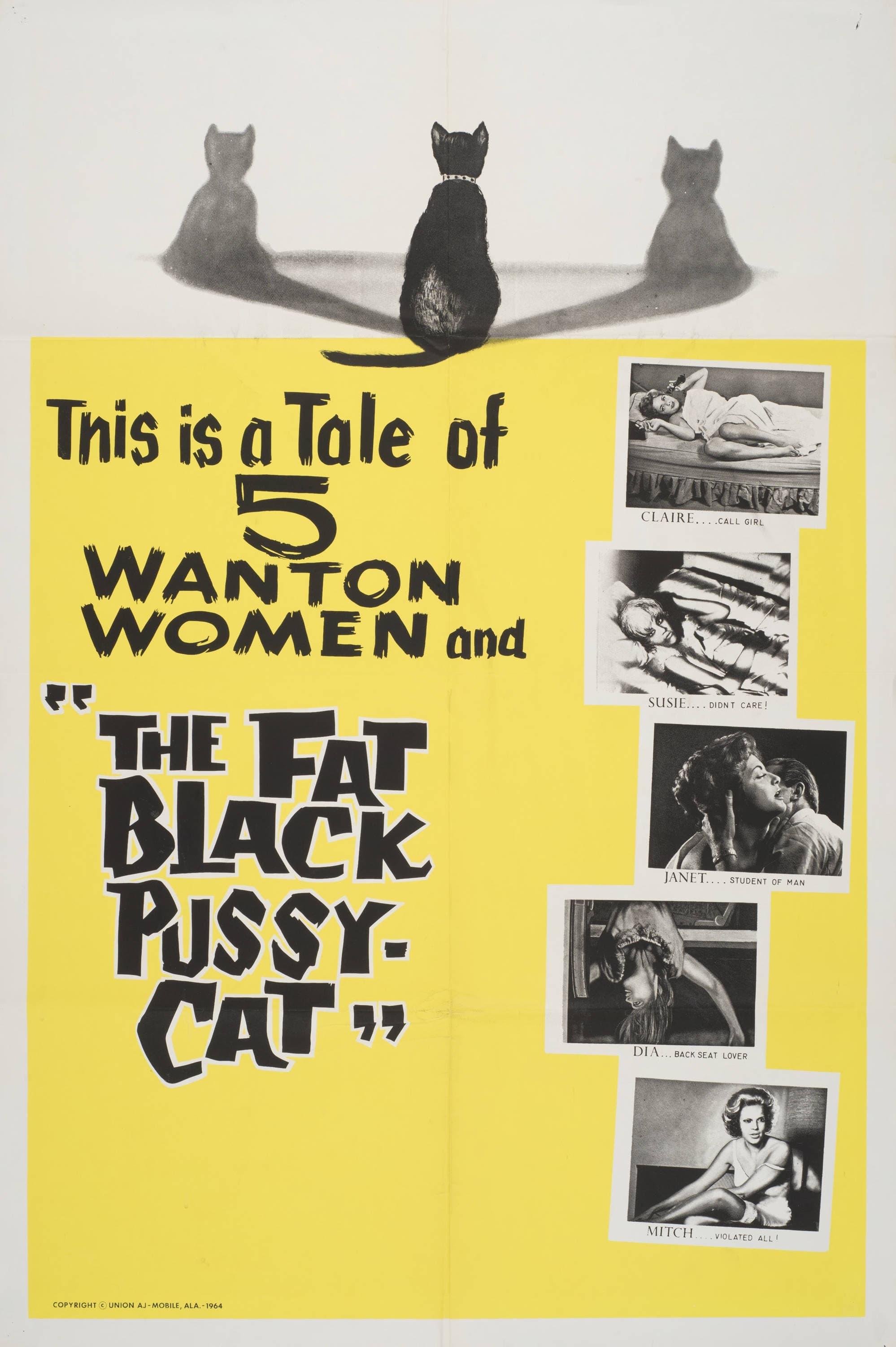 The Fat Black Pussycat poster