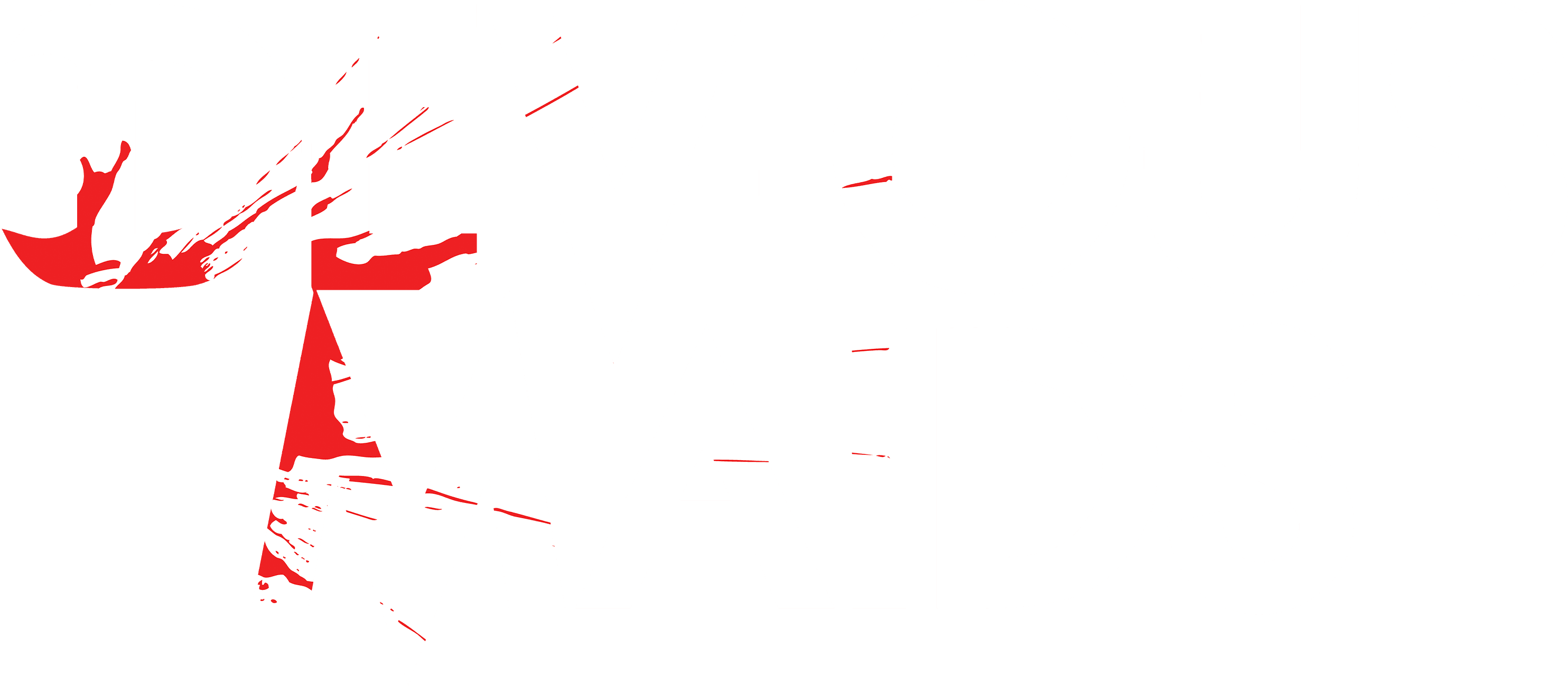 Devious Maids logo