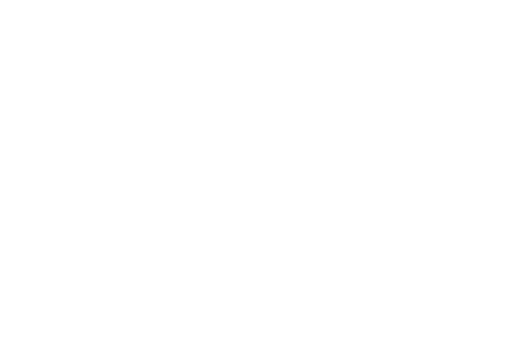 Bebe's Kids logo