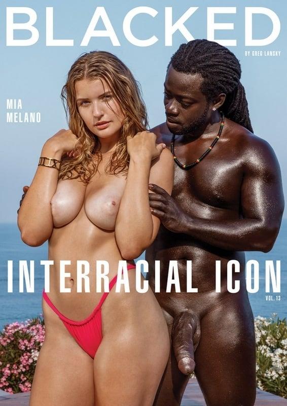 Interracial Icon 13 poster