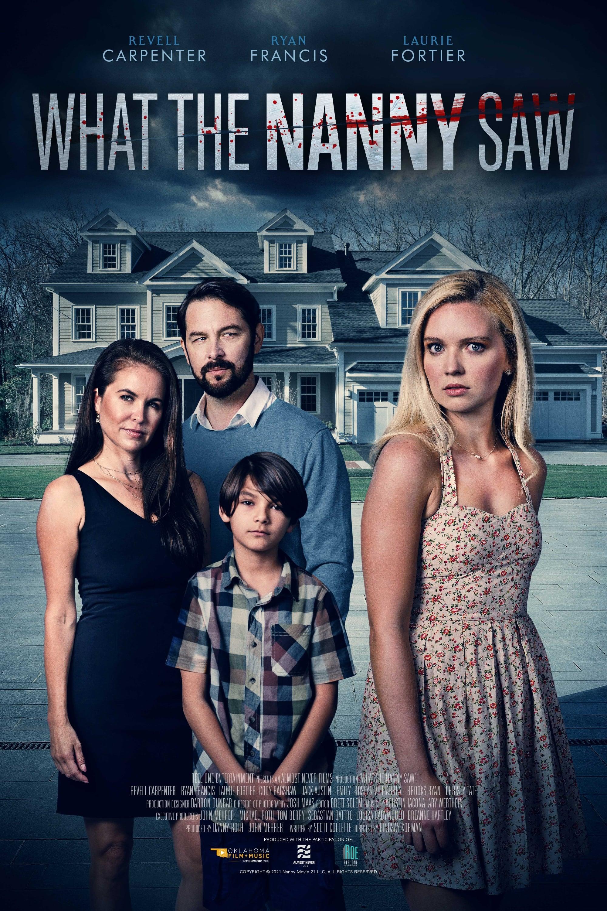 What The Nanny Saw poster