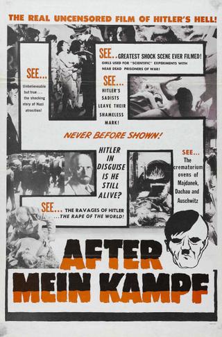 After Mein Kampf? poster