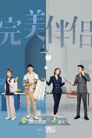 完美伴侣 poster