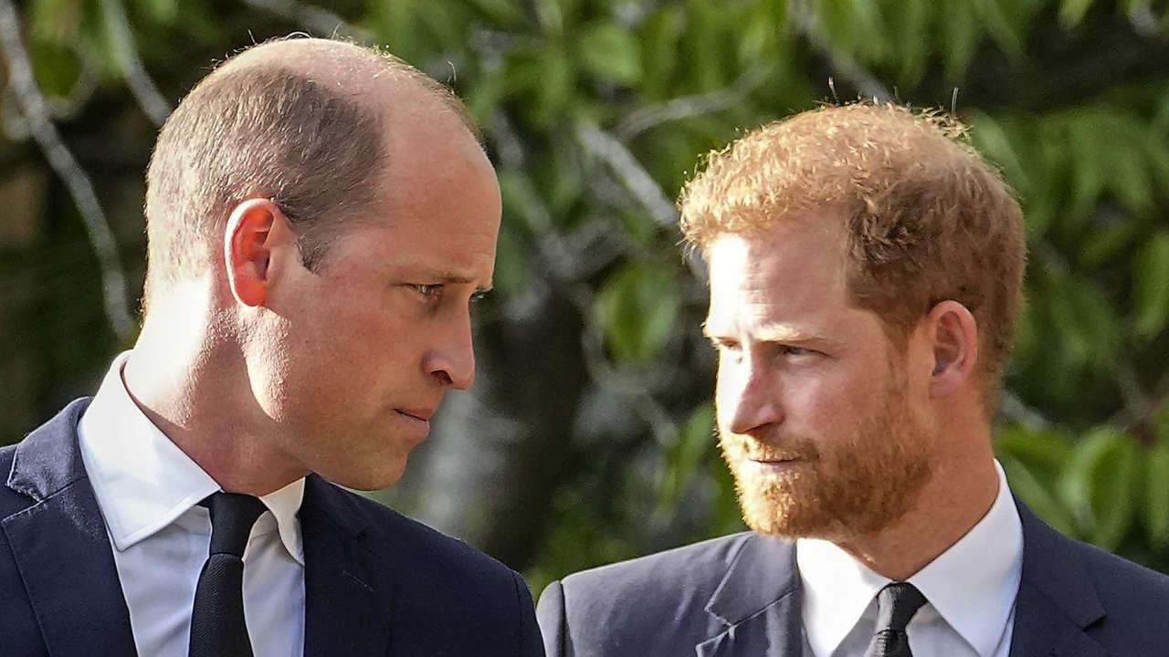 Harry vs. William: Der royale Bruderzwist backdrop