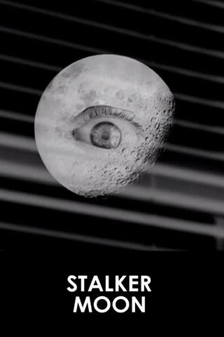 Stalker Moon poster