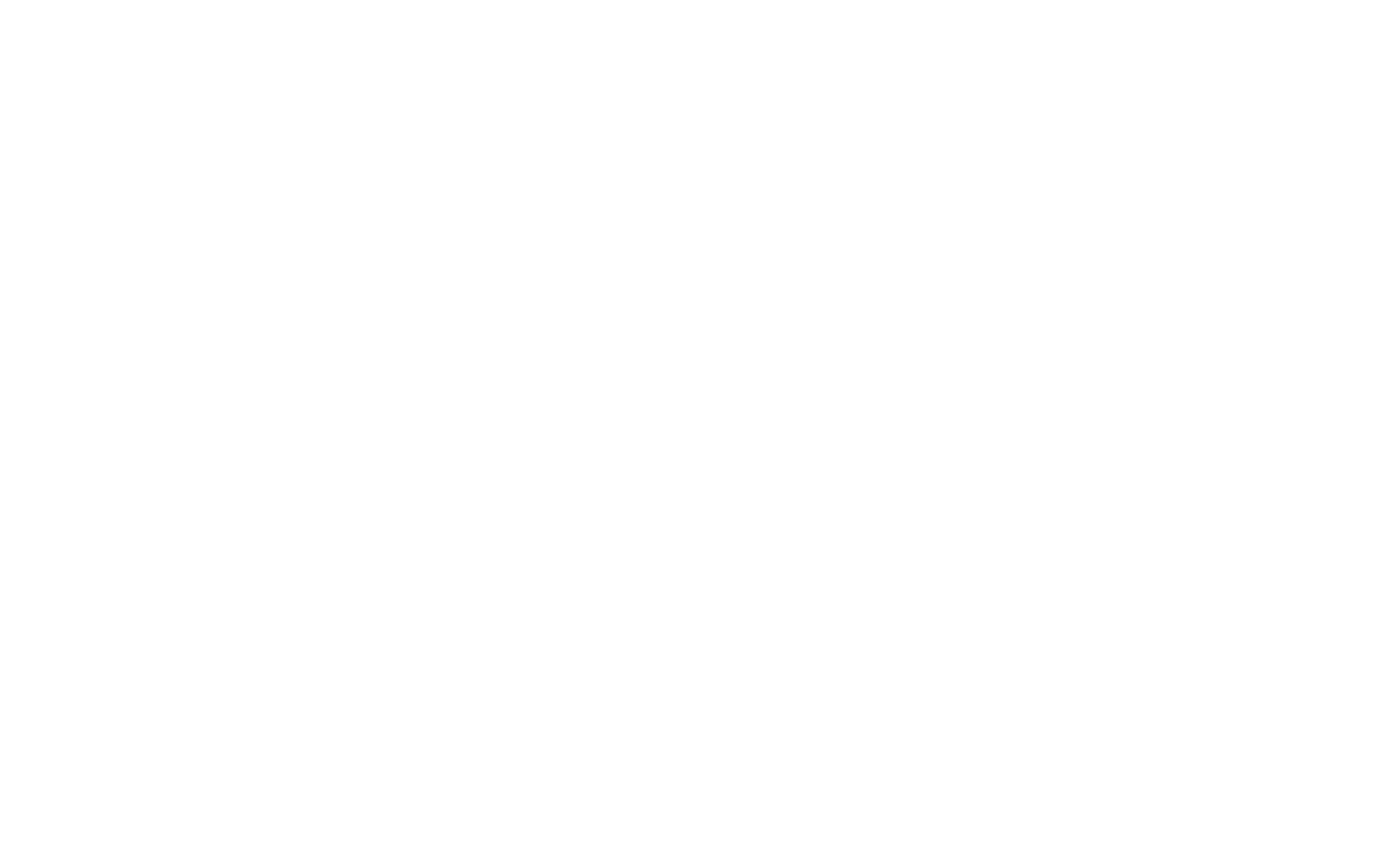 Far Away From Raven's Home logo