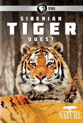 Siberian Tiger Quest poster