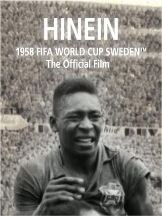 Hinein! poster