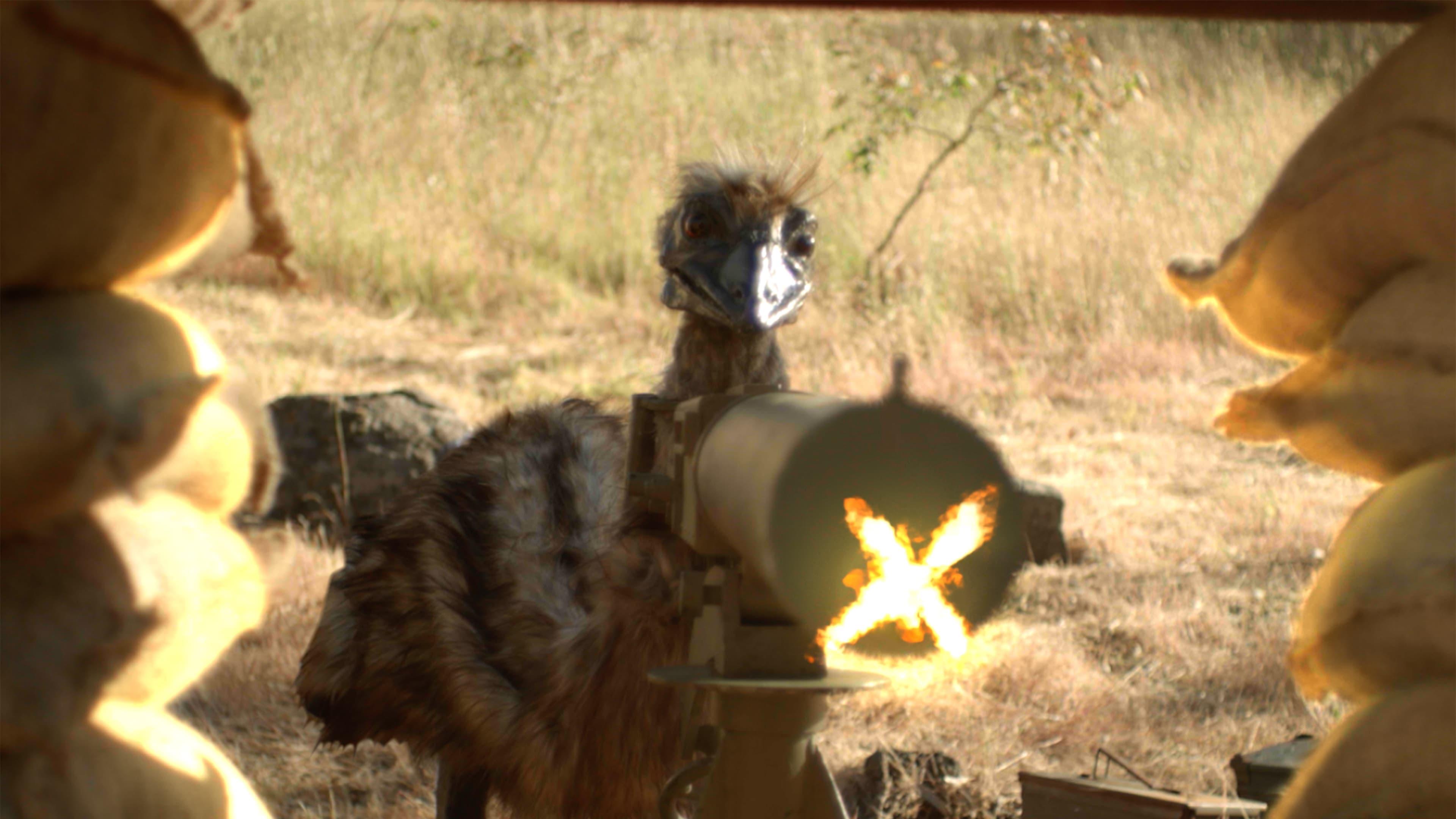 The Emu War backdrop